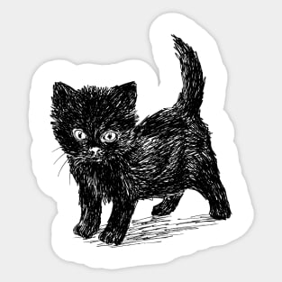 Black cat Sticker